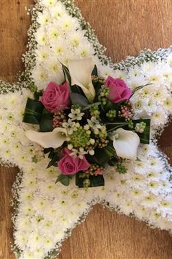 Star Tribute