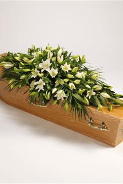 Lily coffin tribute