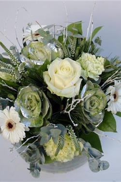 Dashing Through the Snow