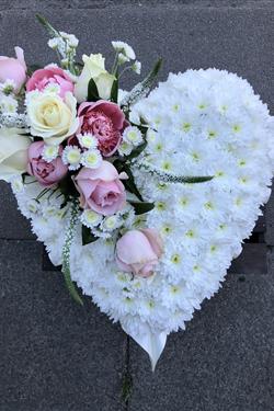 Delicate Heart