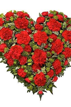 Red &amp; Green Heart