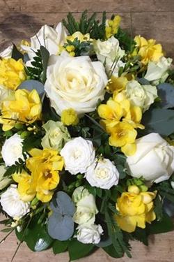 Yellow &amp; White