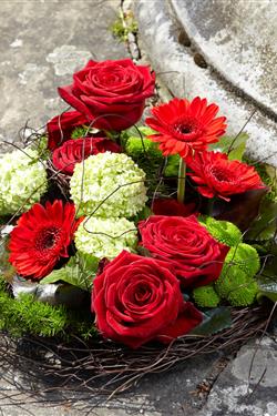 Nest of Reds