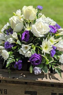 Purple &amp; White