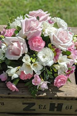 Pink &amp; White