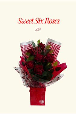 Sweet Six Roses 